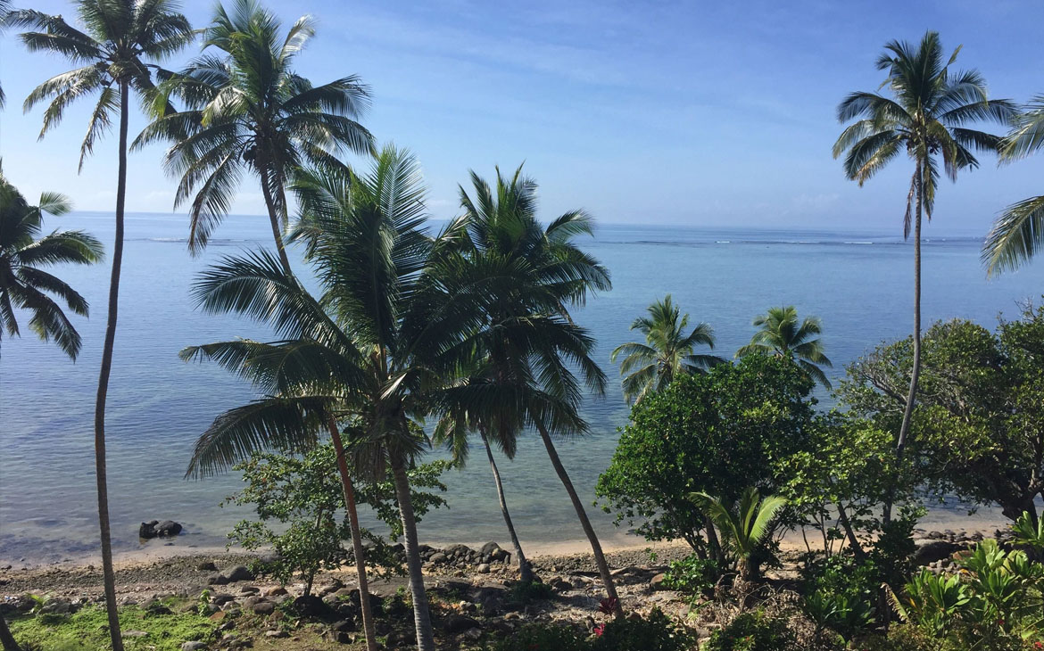 A view of the grounds at Island Breeze, Savusavu.