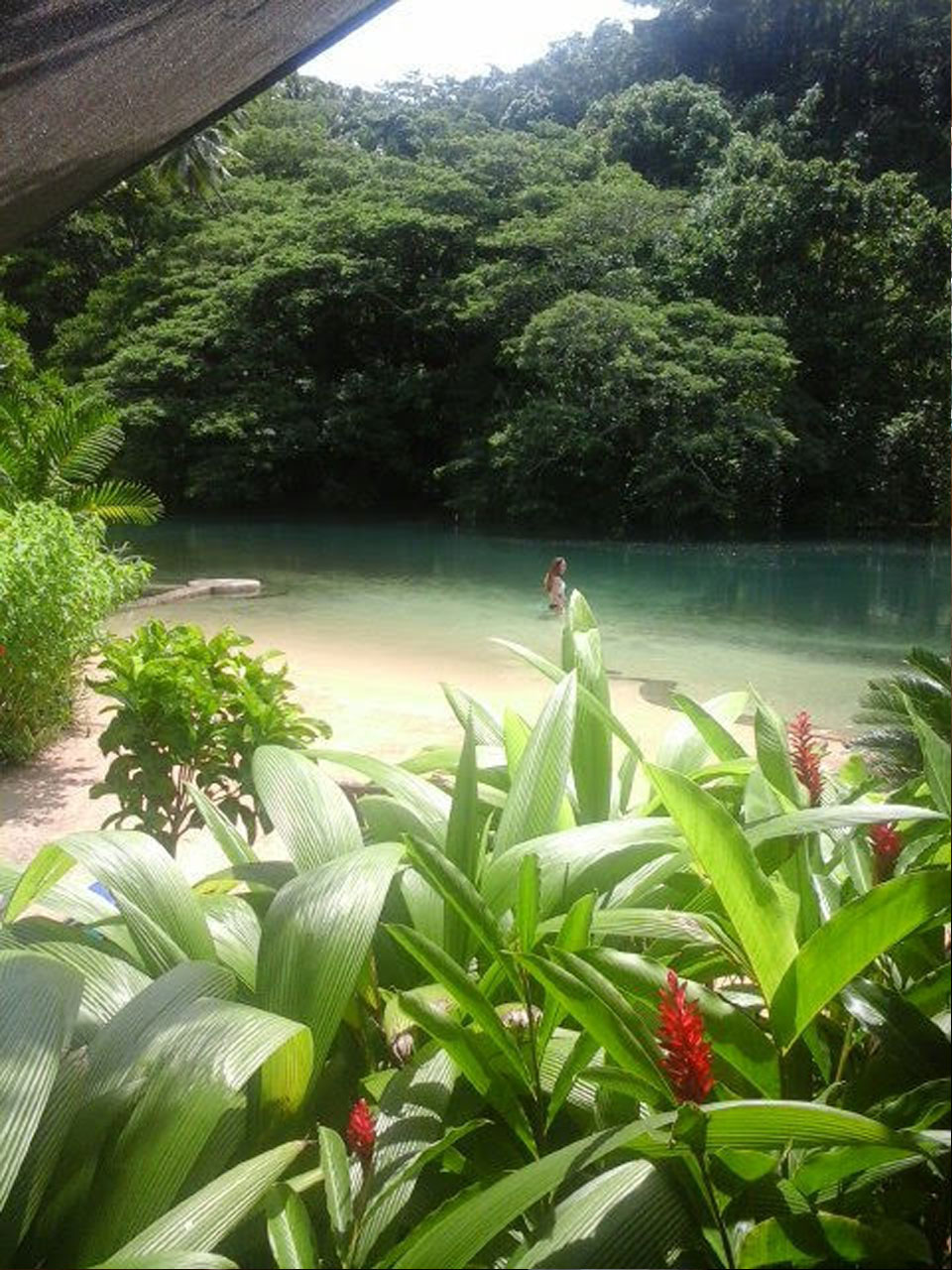 The lush rainforest surrounds the salt lake near Savusavu, Fiji.