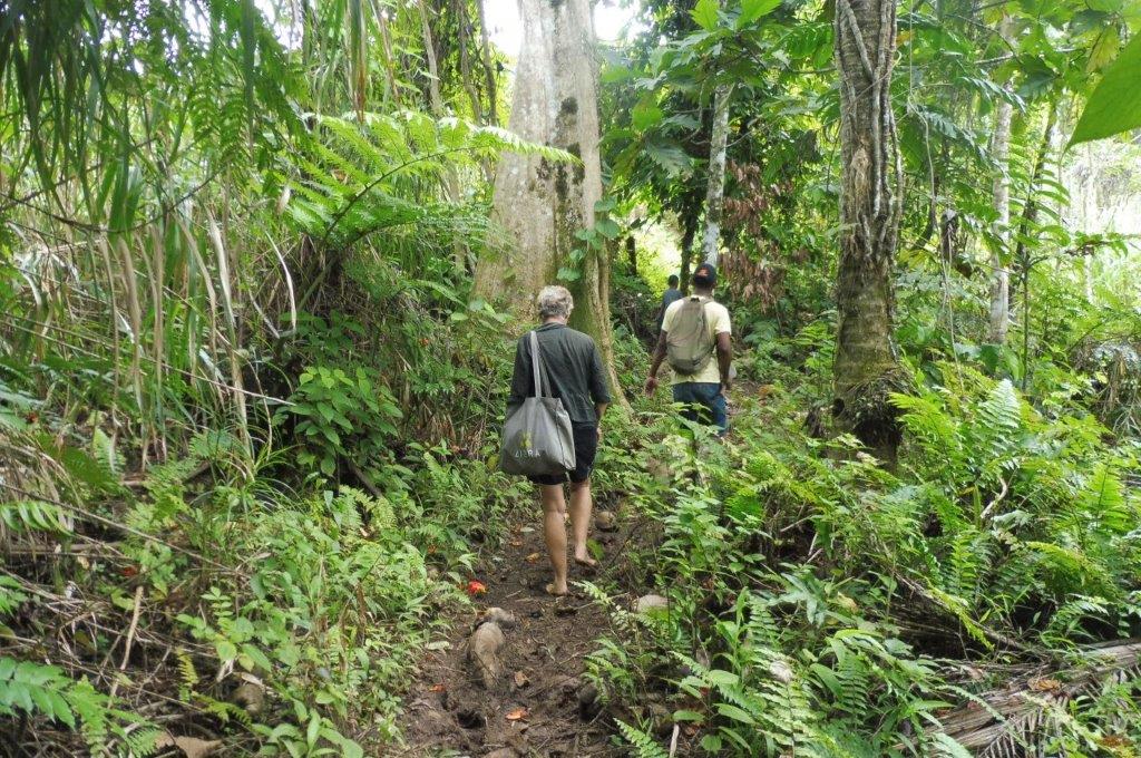 Hikers in the forest in Nadamole, Fiji.