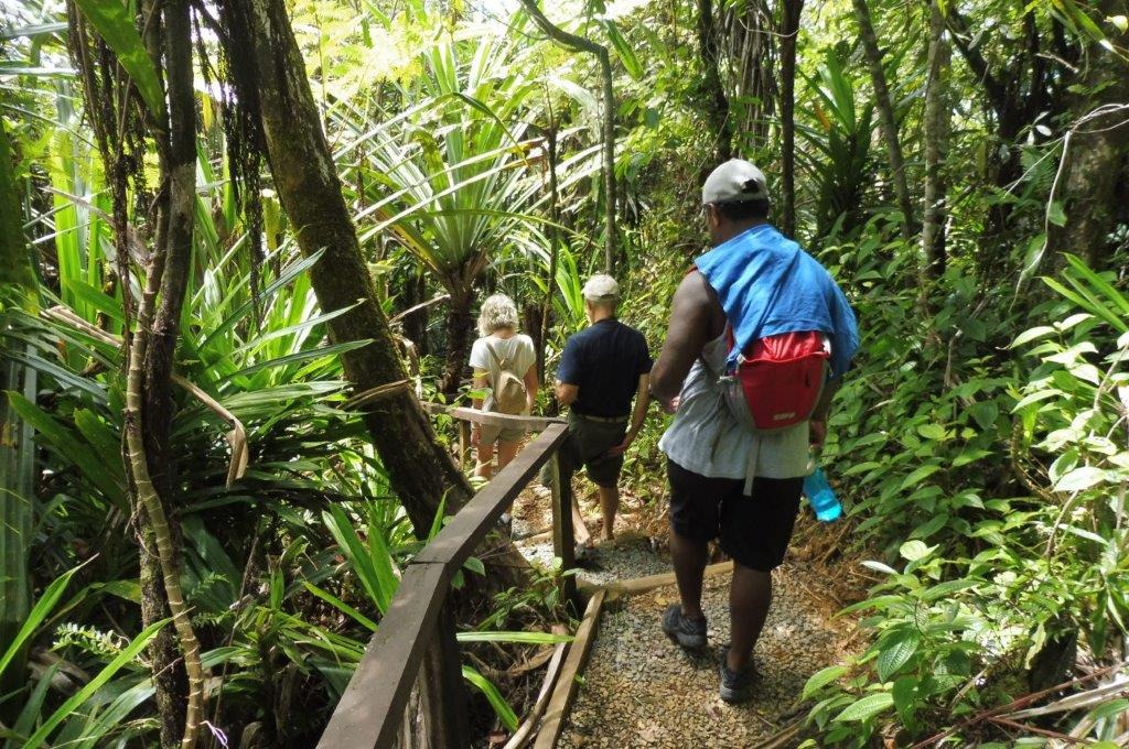 Hikers walk through the Waisali rainforest in Savusavu, Fiji.