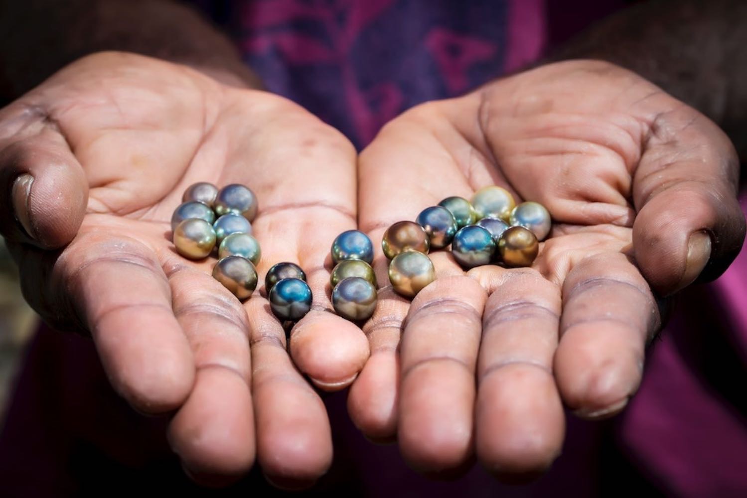An assortment of pearls from J Hunter pearl farms, Savusavu.